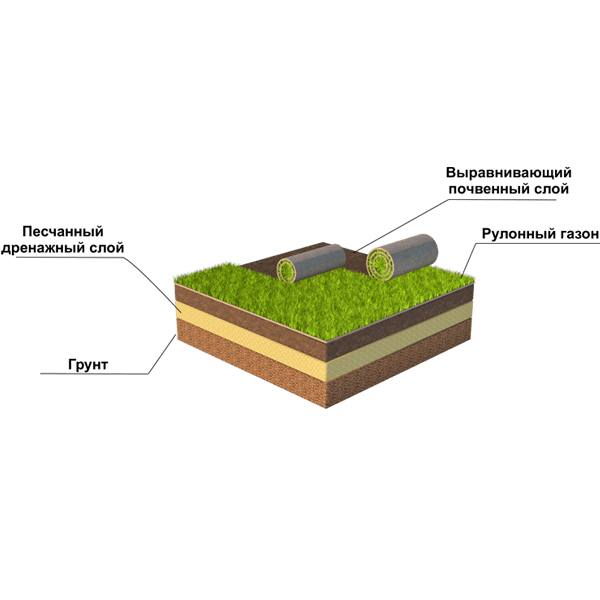 Слой почвы для газона. Схема укладки газона посевного. Схема устройства газона посевного. Схема устройства рулонного газона. Схема посадки газона посевного.